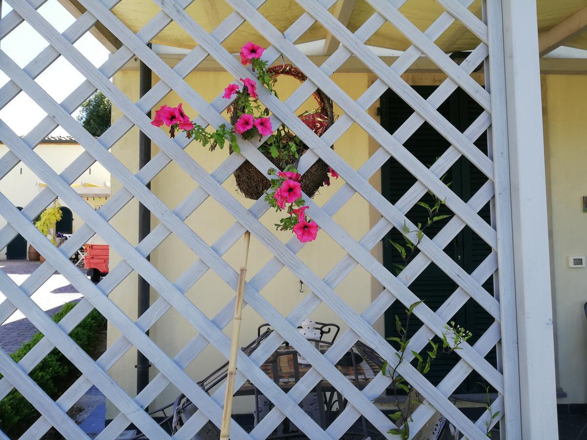 卡内托住宿加早餐旅馆 蒙泰韦尔迪马里蒂莫 外观 照片
